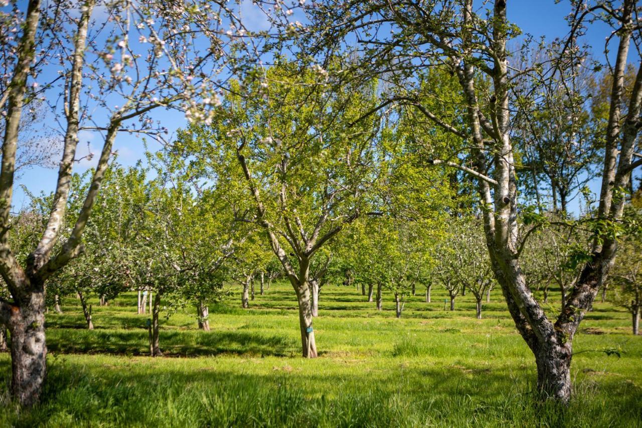 הוילה לדברי Dragon Orchard Retreat מראה חיצוני תמונה