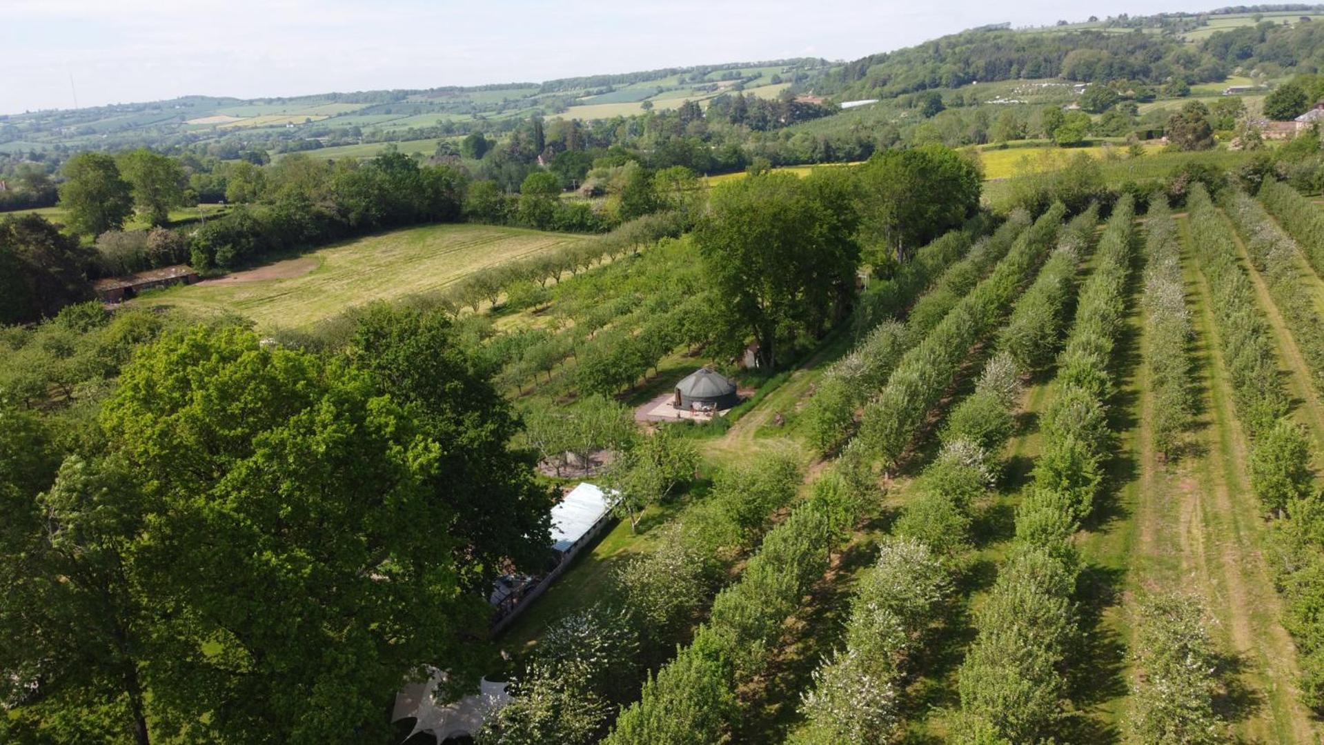 הוילה לדברי Dragon Orchard Retreat מראה חיצוני תמונה