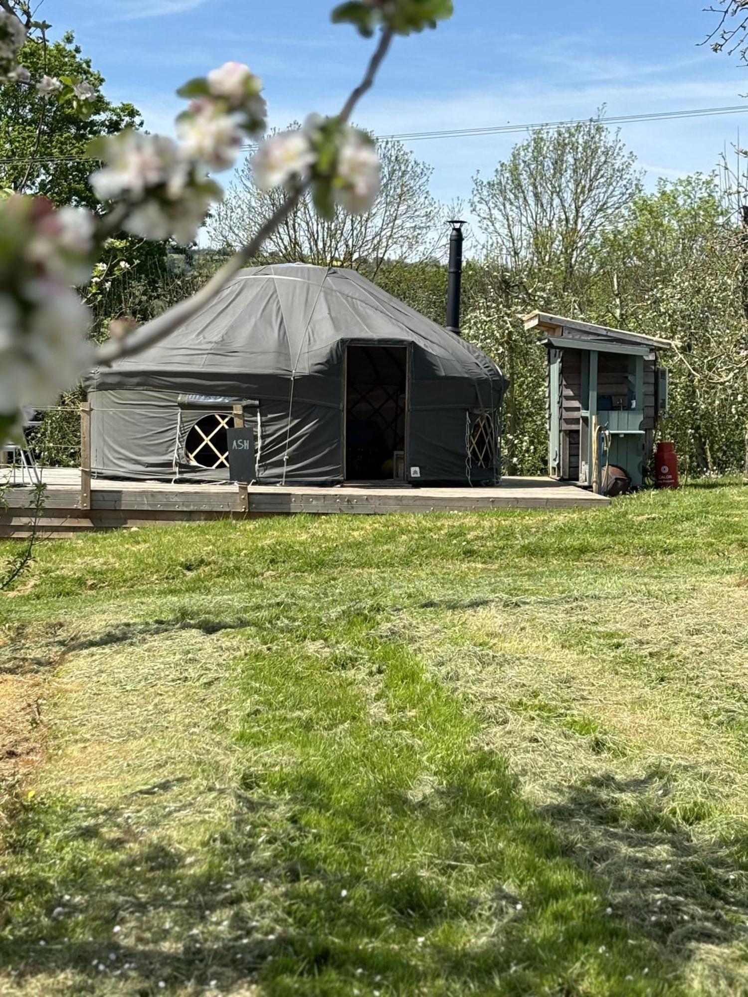 הוילה לדברי Dragon Orchard Retreat מראה חיצוני תמונה