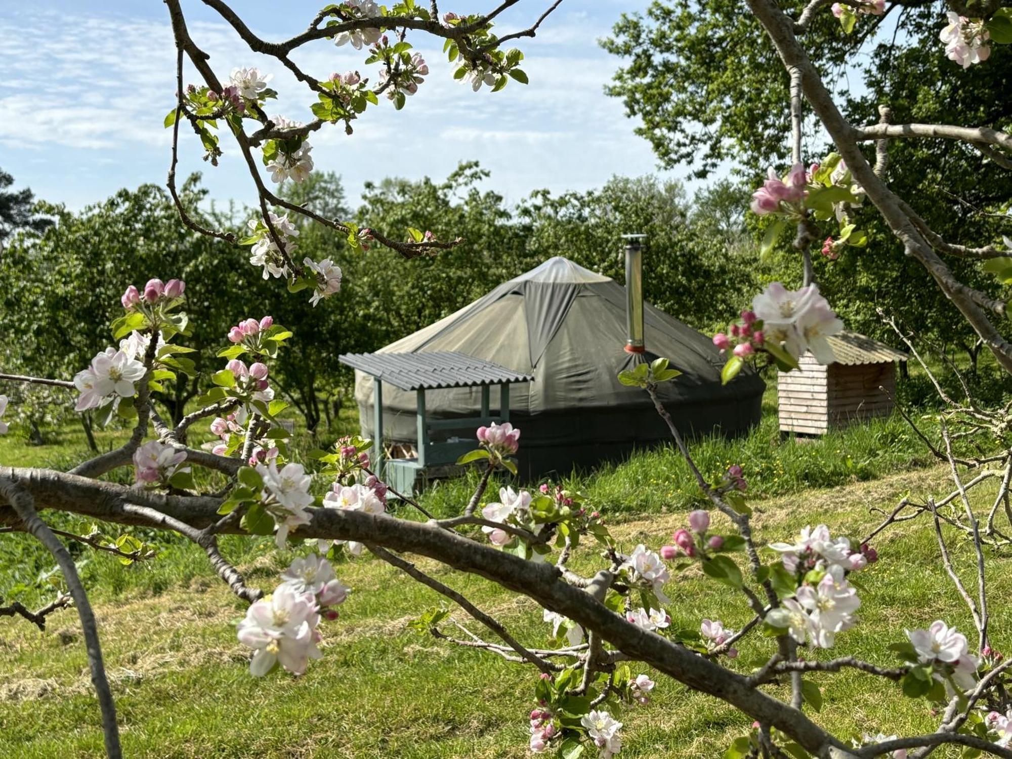 הוילה לדברי Dragon Orchard Retreat מראה חיצוני תמונה