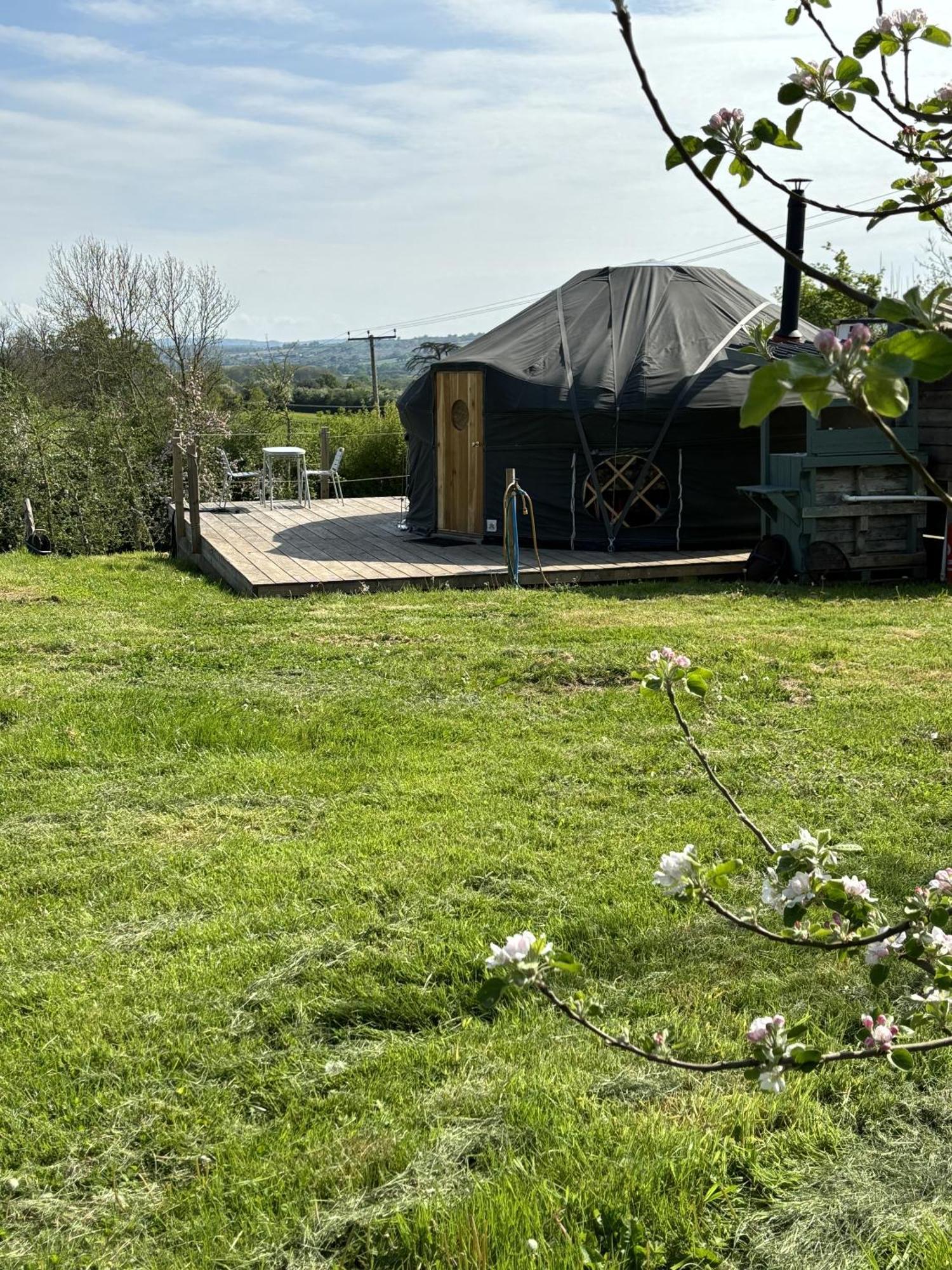 הוילה לדברי Dragon Orchard Retreat חדר תמונה